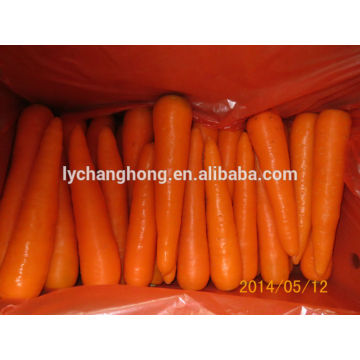 2014 China new crop fresh red carrot